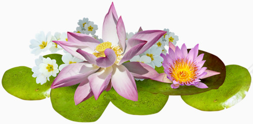 花草图案素材花草图案