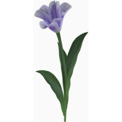 花卉图案素材庆典花草