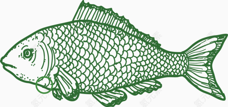 海洋生物 通鱼