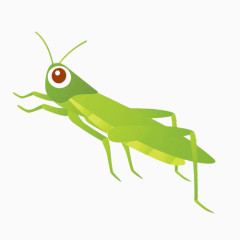 卡通绿色蚱蜢