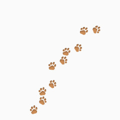 手绘卡通熊掌印