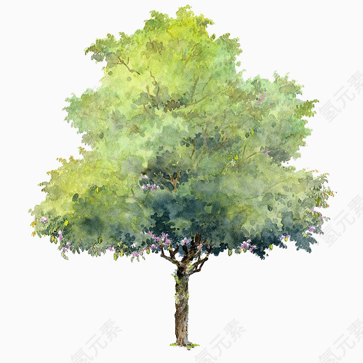 手绘树木元素树木背景