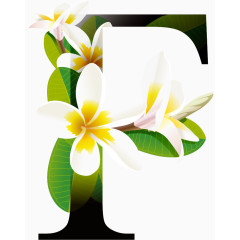 鲜花花纹字母F