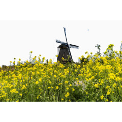 荷兰桑斯安斯风车村三