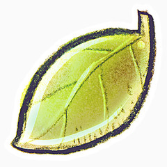 手绘叶子素材