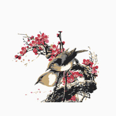 梅花树枝上的鸟