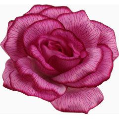 装饰图标卡通装饰素材