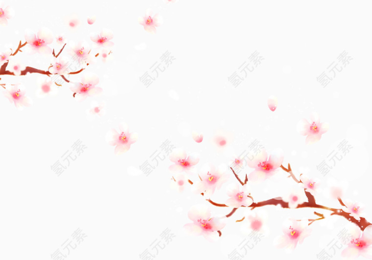 樱花飘落