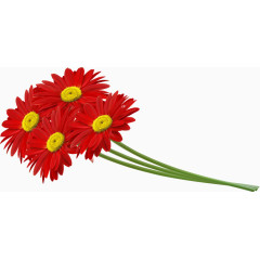 手绘红色野菊花