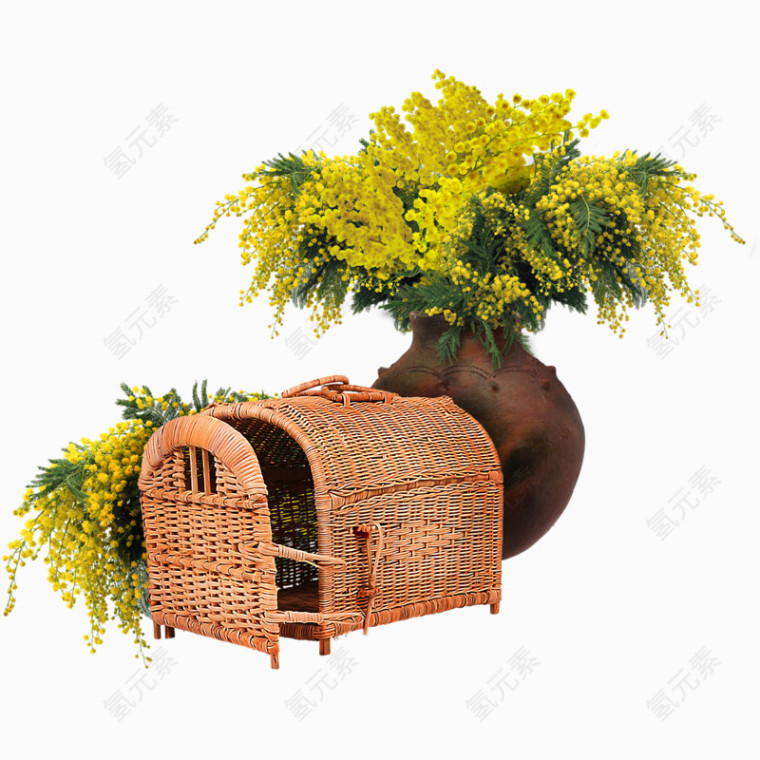 含羞草笼子