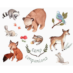 手绘动物   清新插画