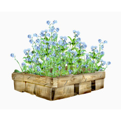 卡通手绘木盒植物花卉