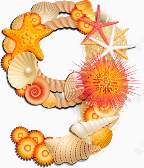 沙滩贝壳组合数字9