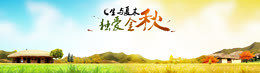 双十一购物节
