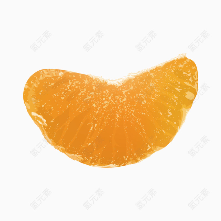 手绘逼真桔子片