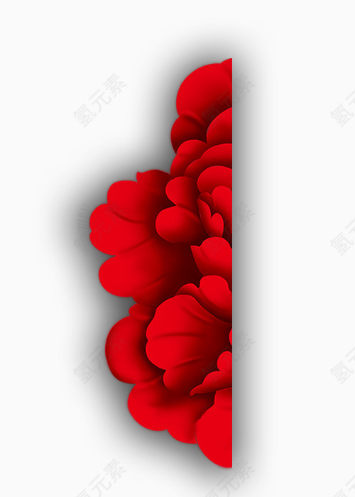 大红花素材