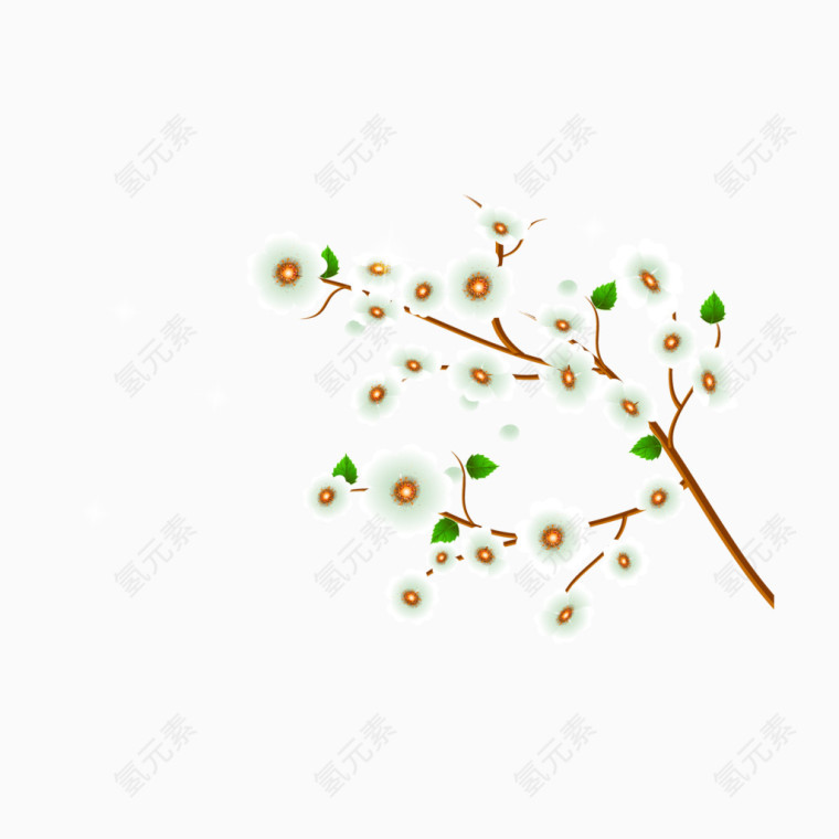 白色花朵花枝