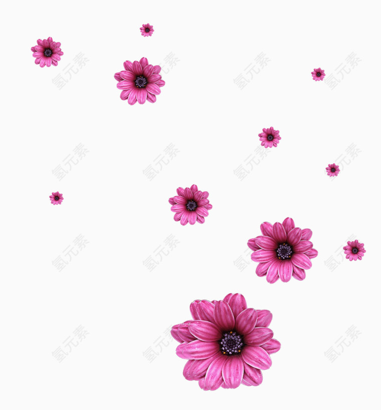 飘落花