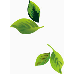 漂浮绿叶免费下载绿色叶子