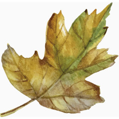 手绘叶子矢量图