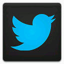 Twitter 2图标