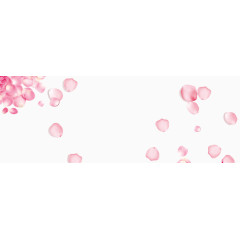 满屏粉色花瓣飞舞