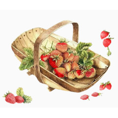 卡通花素描复古图片素材 草莓 竹篮