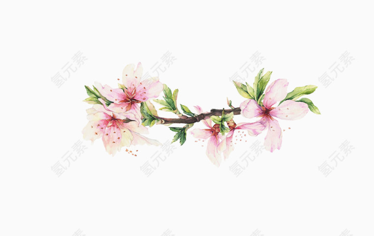 一枝桃花