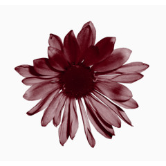 唯美花卉图片花朵图片