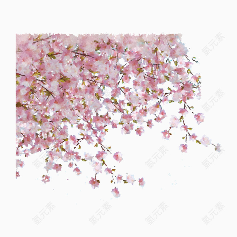 矢量手绘樱花