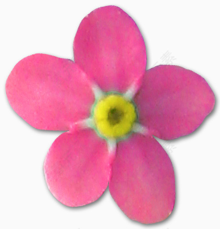 花草画植物花草素材