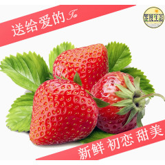 鲜红草莓绿叶子水果