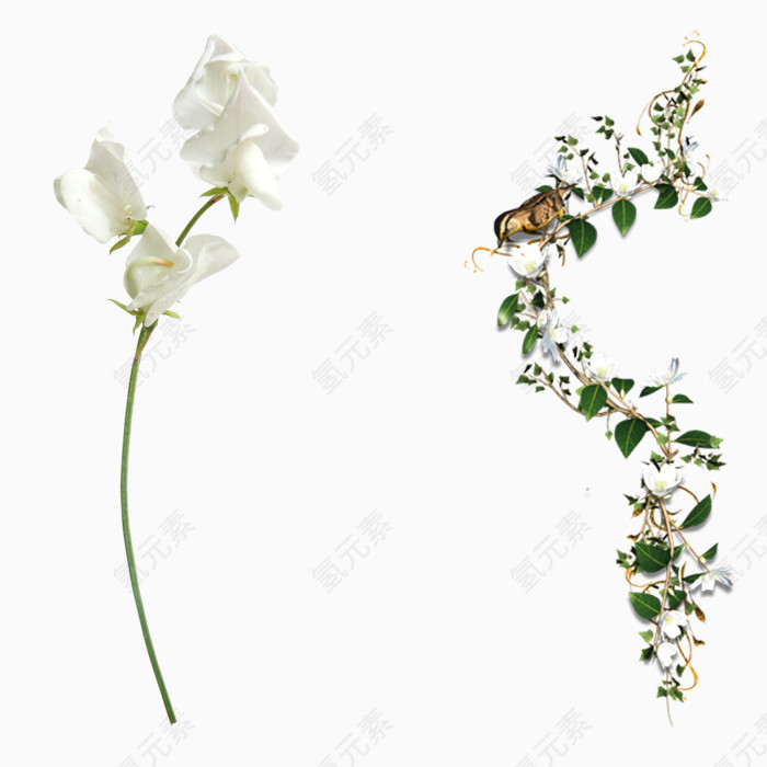 漂亮装饰花儿PNG免抠图素材