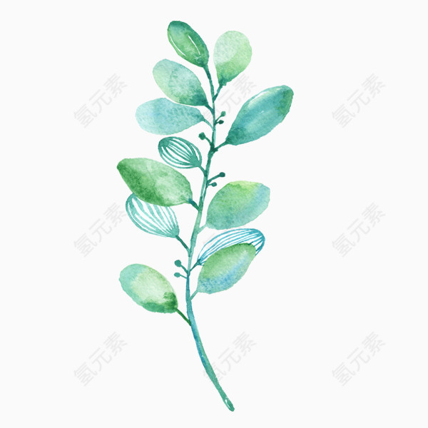 绿叶植物素材
