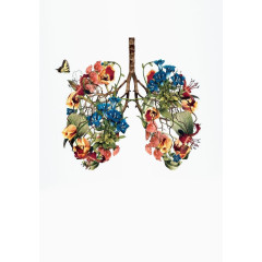 创意花卉拼贴肝脏图