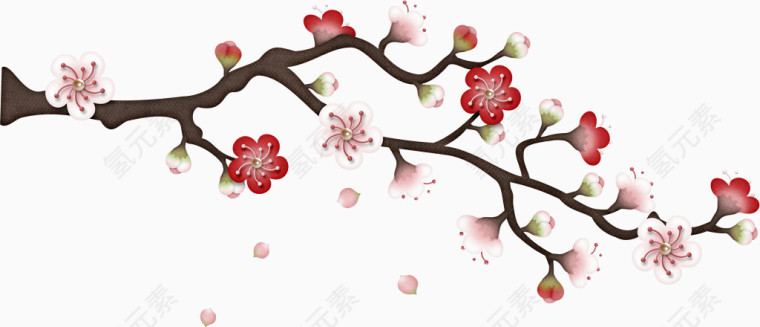 梅花