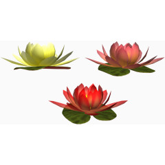 手绘荷花莲花许愿灯