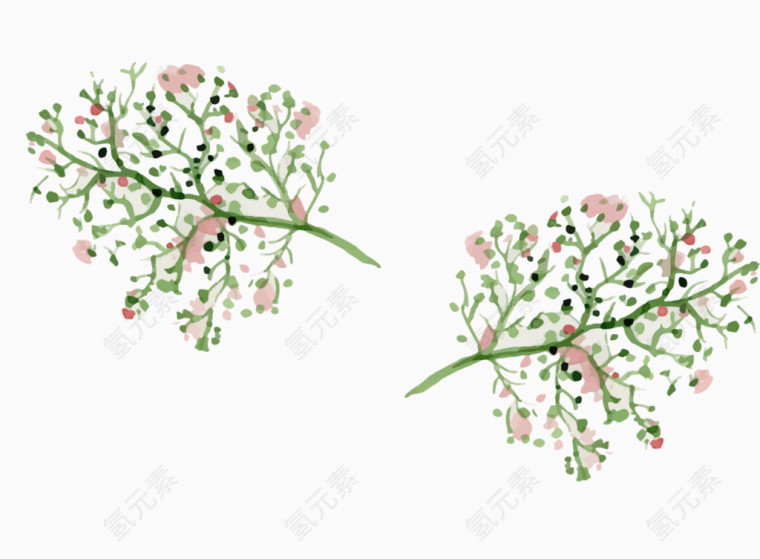 水粉花草装饰