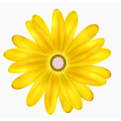 黄色向日葵