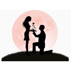 月下求婚剪影