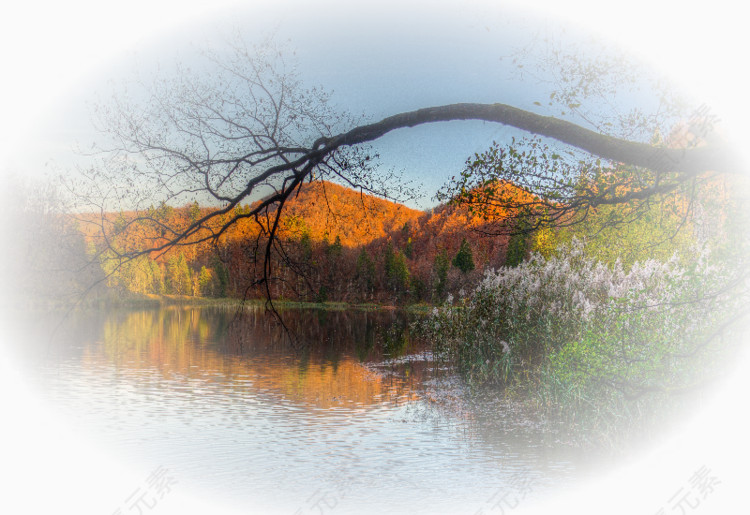 秋景
