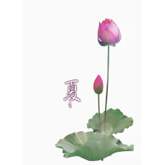 创意荷花素材