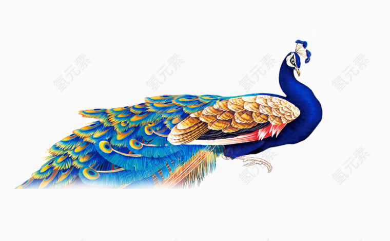 孔雀装饰图案