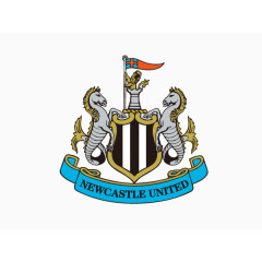 英超纽卡斯尔队徽