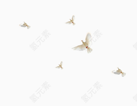 白色飞鸽飞舞漂浮素材