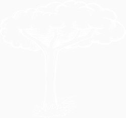 粉笔画树