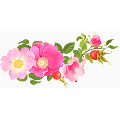 粉红色鲜花图案