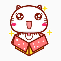 小花猫礼物盒子