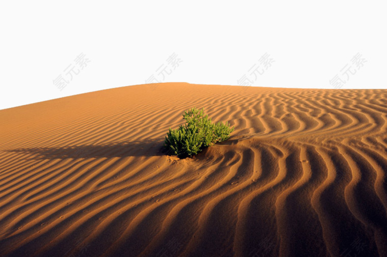 内蒙古腾格里沙漠