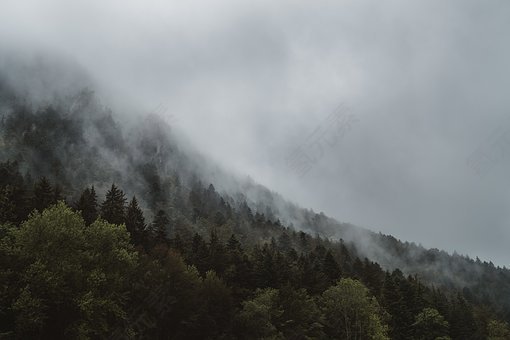 雾,霾,森林,有雾,景观,薄雾,山,自然,户外,树,伍兹,免費的照片,